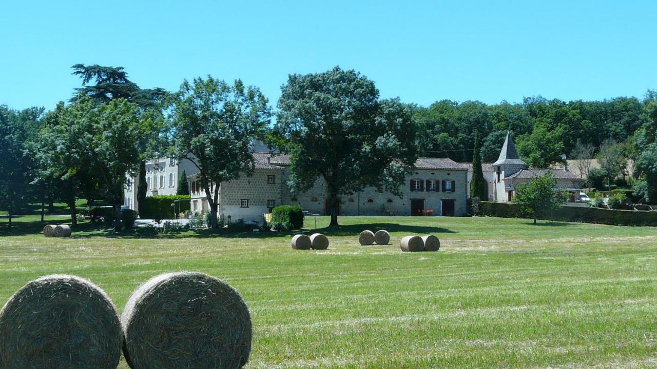 Chateau De La Bousquetarie Lempaut Kültér fotó